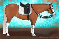 Horse Color:Silver Bay Splash