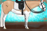 Horse Color:Silver Amber Champagne Splash