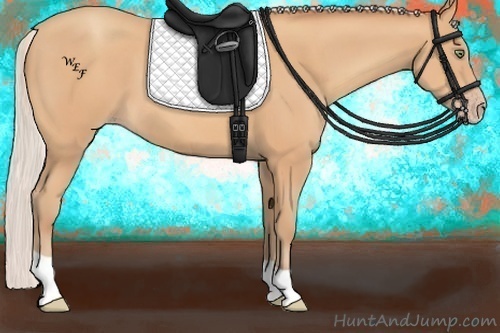 Horse Color:Silver Amber Champagne 