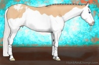 Horse Color:Silver Amber Champagne Splash Varnish 
