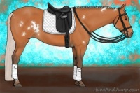 Horse Color:White Spotted Silver Bay 