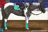 Horse Color:Smoky Black Tobiano 
