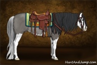 Horse Color:Grullo Roan Splash Rabicano 