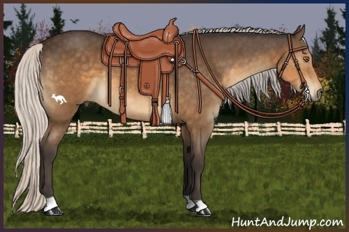 Horse Color:Silver Buckskin 