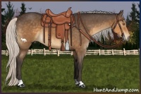 Horse Color:Silver Buckskin 