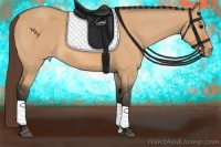 Horse Color:Bay Dun Varnish 