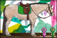 Horse Color:Amber Champagne Ice 