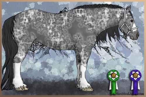 Horse Color:Black Ice 