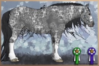 Horse Color:Black Ice 