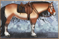 Horse Color:Bay Roan Onyx 
