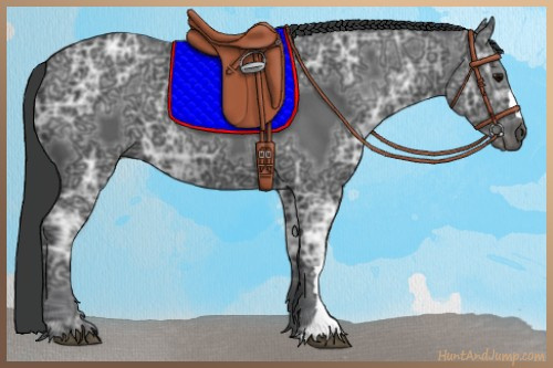 Horse Color:Black Ice 