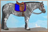 Horse Color:Black Ice 