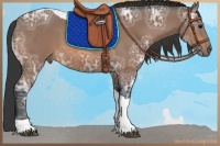 Horse Color:Bay Ice Tobiano