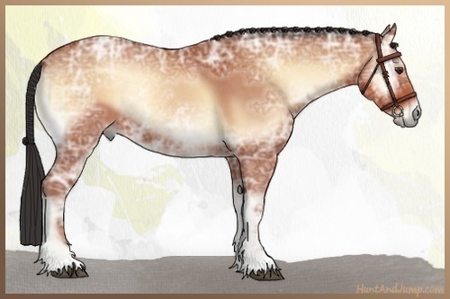 Horse Color:Bay Ice Roan Onyx 