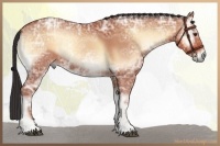 Horse Color:Bay Ice Roan Onyx 