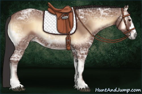 Horse Color:Bay Ice Onyx 
