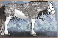 Horse Color:Smoky Black Ice Splash 