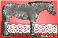 Horse Color:Smoky Black Ice 