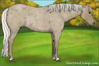 Horse Color:Silver Smoky Blue Roan Rabicano 