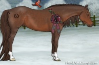 Horse Color:Liver Chestnut 