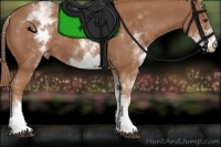 Horse Color:White Spotted Chestnut Varnish 