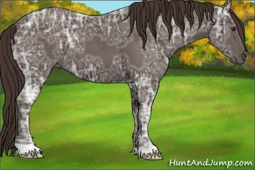 Horse Color:Liver Chestnut Ice 