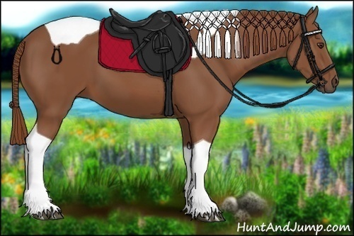 Horse Color:Chestnut Tobiano