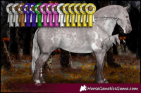 Horse Color:White Spotted Chocolate Silver Grullo Chinchilla 