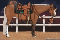 Horse Color:Silver Bay