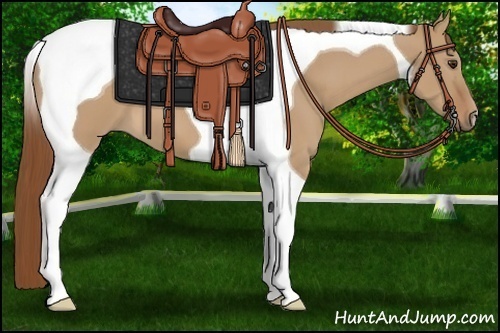 Horse Color:Red Dun Tobiano