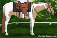 Horse Color:Red Dun Tobiano 