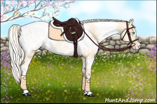 Horse Color:White Spotted Palomino Pearl Dun Appaloosa 