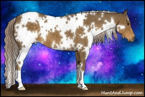 Horse Color:White Spotted Chocolate Palomino 