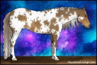 Horse Color:White Spotted Chocolate Palomino 