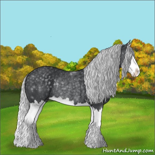 Horse Color:Silver Black Chinchilla Splash Rabicano 
