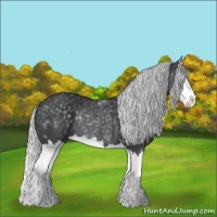 Horse Color:Silver Black Chinchilla Splash Rabicano