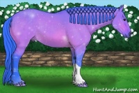 Horse Color:Watercolor Brown Dun 