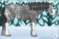 Horse Color:Black Ice Splash 