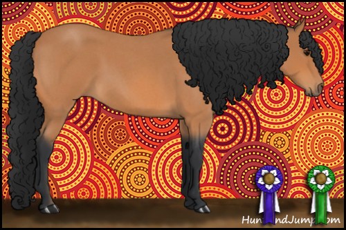 Horse Color:Bay Roan 