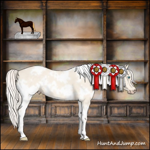 Horse Color:White Spotted Cremello 