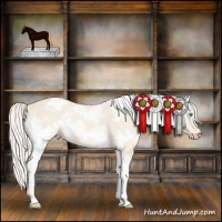 Horse Color:White Spotted Cremello 