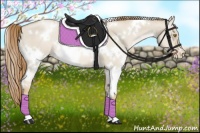Horse Color:White Spotted Red Dun Pearl 