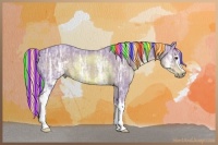 Horse Color:Painted Watercolor White Spotted Liver Chestnut Ice 