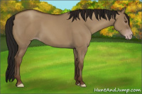 Horse Color:Gray Classic Champagne Dun 