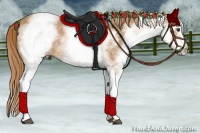 Horse Color:White Spotted Chestnut 