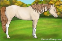 Horse Color:Smoky Grullo Pearl 