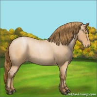 Horse Color:Brown Roan Pearl Appaloosa 