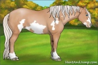Horse Color:Silver Bay Pearl Frame 