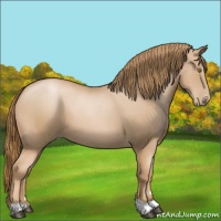 Horse Color:Chestnut Pearl