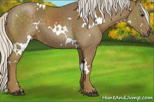 Horse Color:White Spotted Silver Smoky Black 